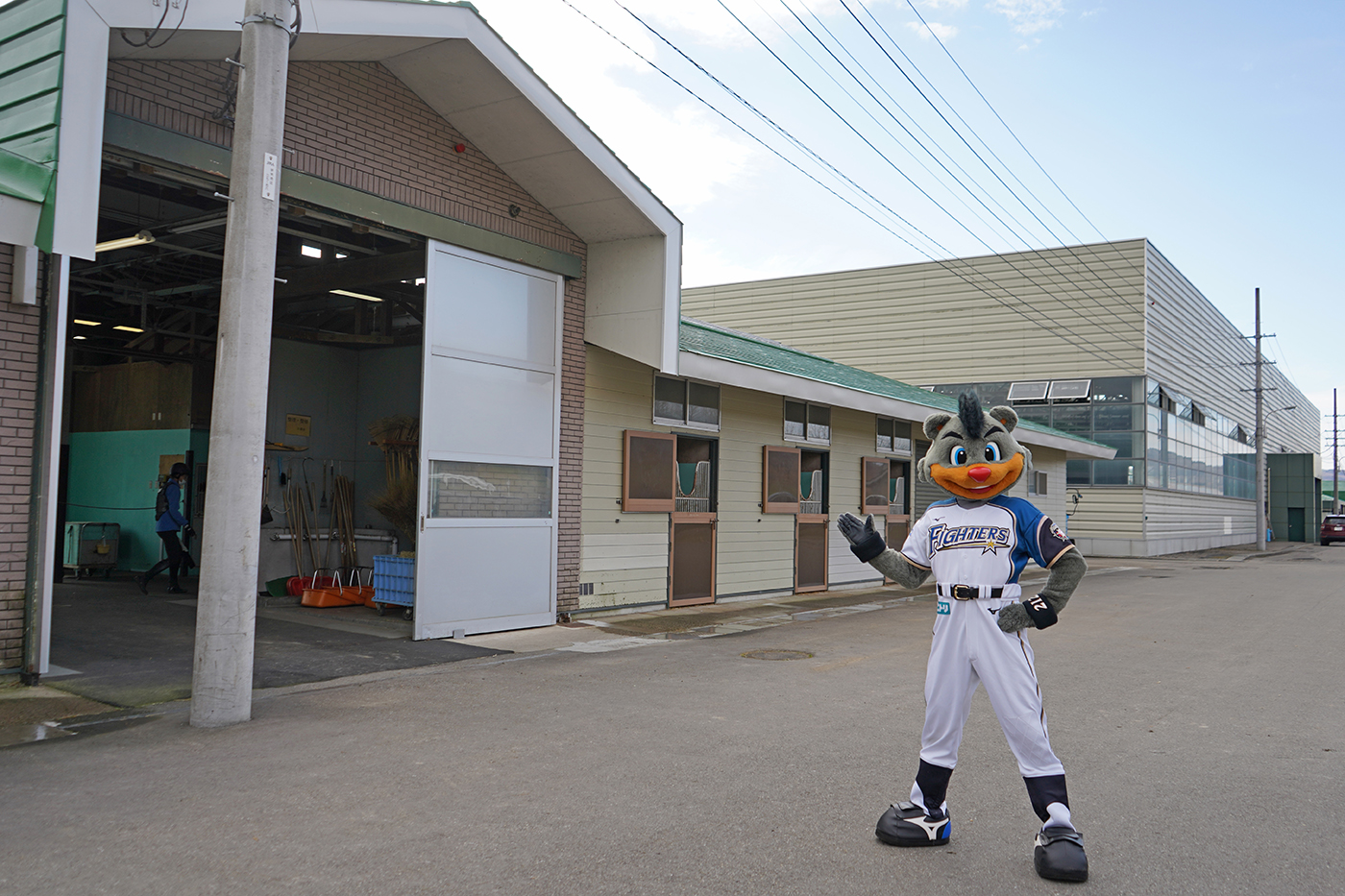 競走馬の生まれる場所・前編。